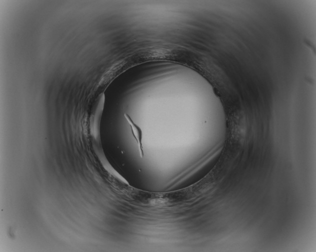 X0000099940216200806061526