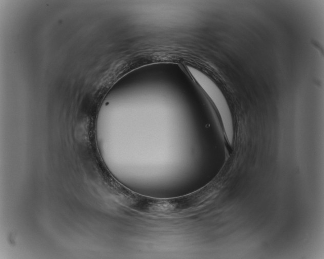 X0000099940217200806061526