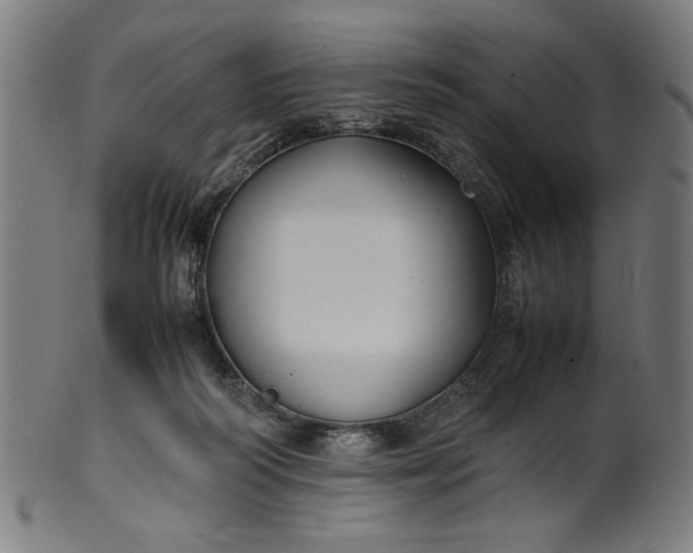 X0000099940218200806061526