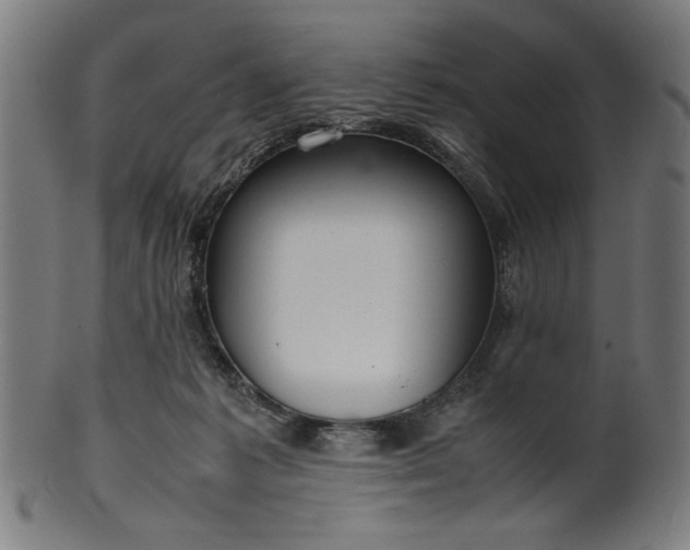 X0000099940221200806061526
