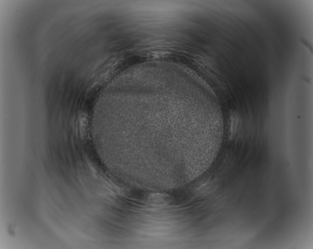 X0000099940222200806061526