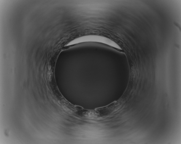 X0000099940223200806061526