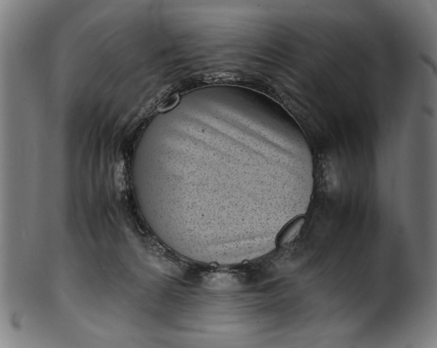X0000099940224200806061526