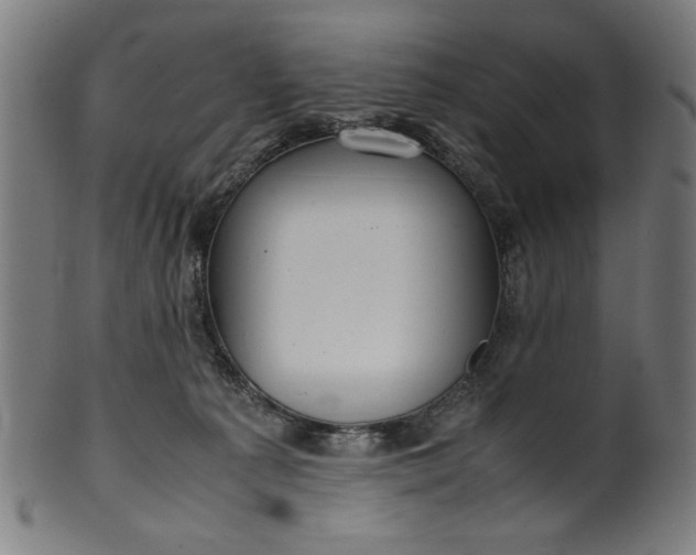 X0000099940225200806061526