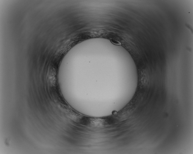X0000099940226200806061526