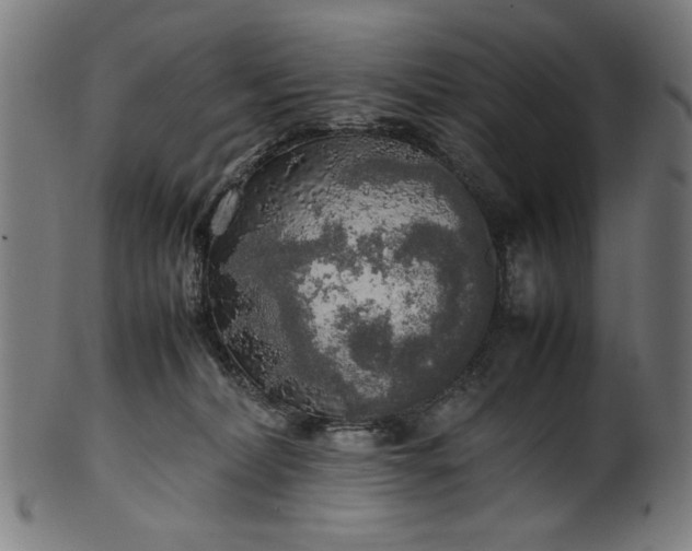 X0000099940228200806061526