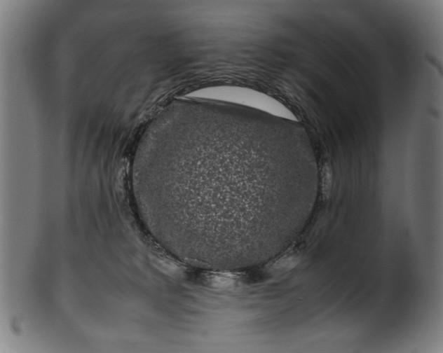 X0000099940229200806061526