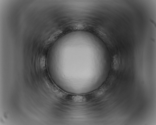 X0000099940230200806061526