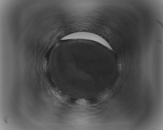 X0000099940231200806061526