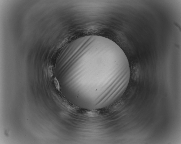 X0000099940232200806061526