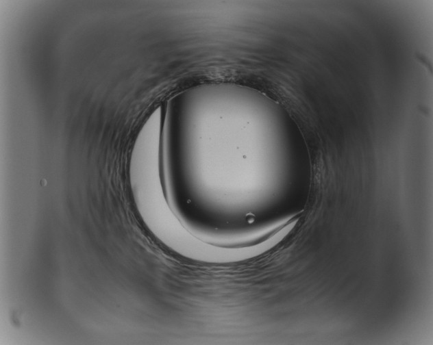 X0000099940233200806061526