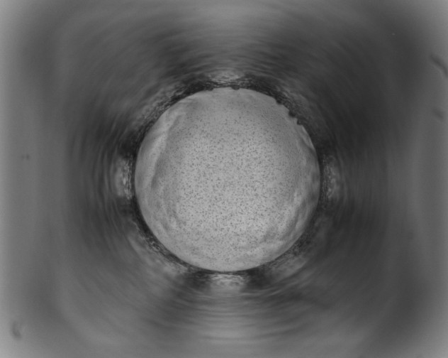 X0000099940234200806061526