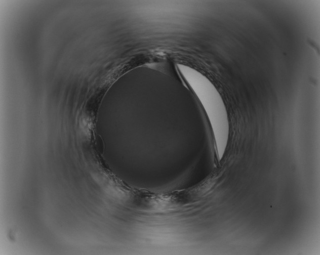 X0000099940235200806061526