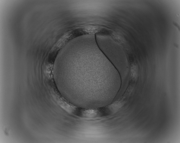 X0000099940237200806061526