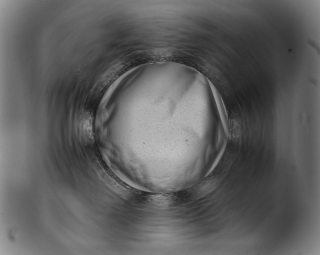 X0000099940238200806061526