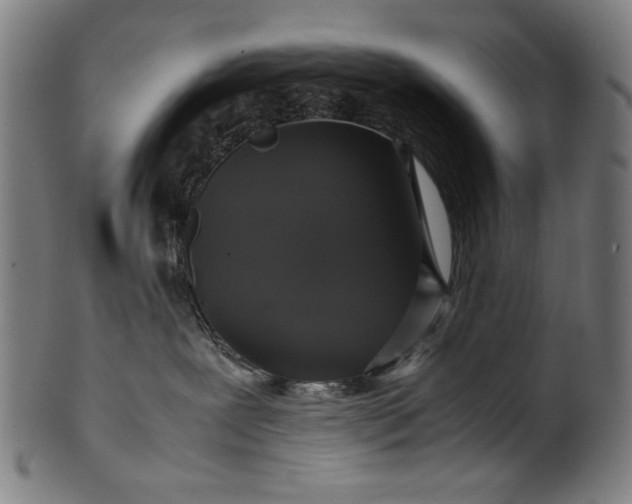 X0000099940239200806061526