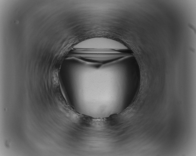X0000099940240200806061526