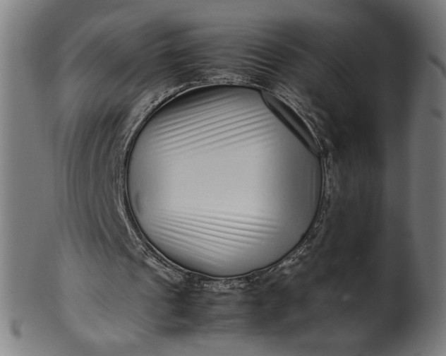 X0000099940241200806061525