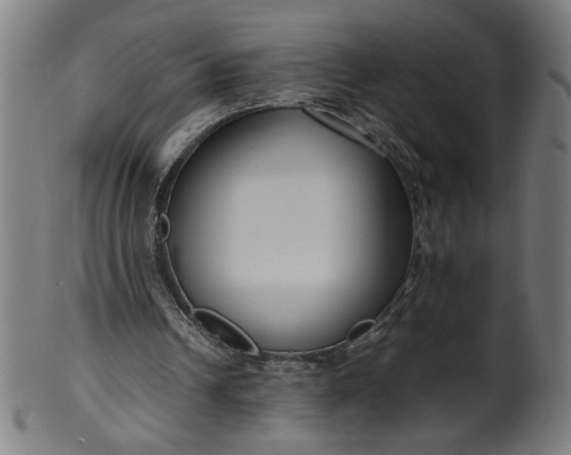 X0000099940242200806061525