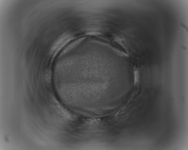 X0000099940243200806061525