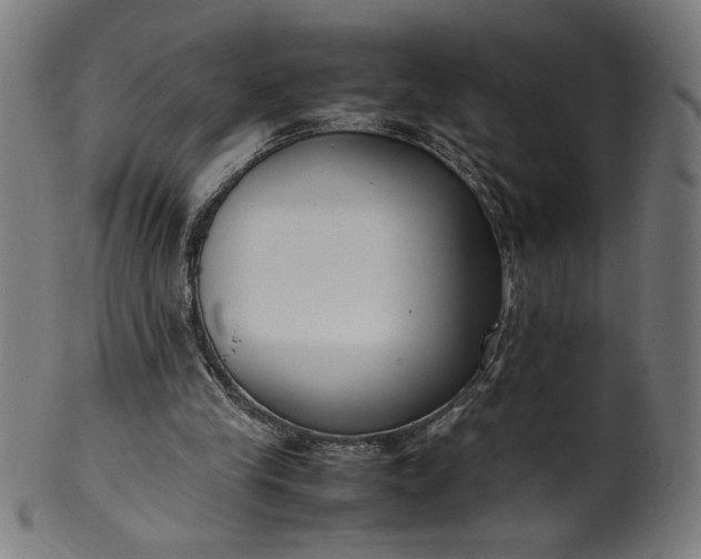 X0000099940245200806061525