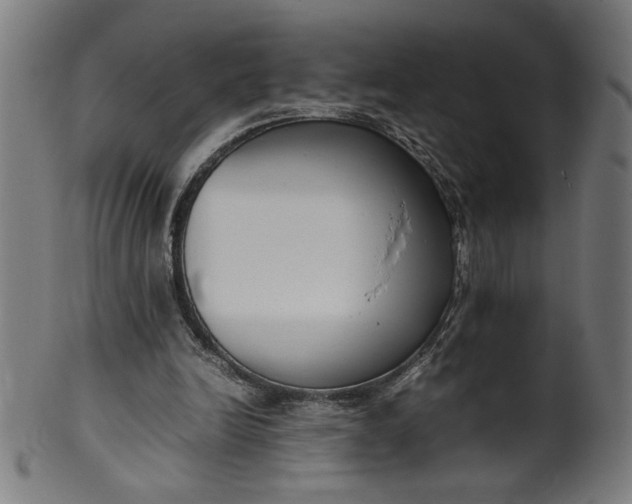X0000099940246200806061525
