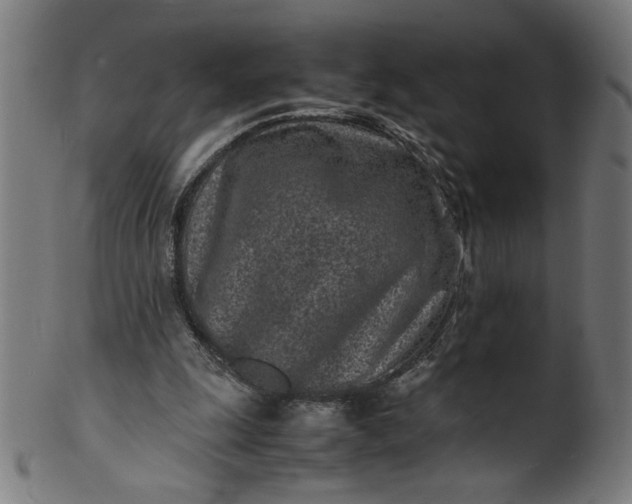 X0000099940247200806061525