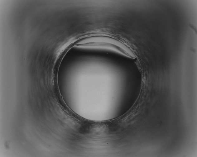 X0000099940248200806061525