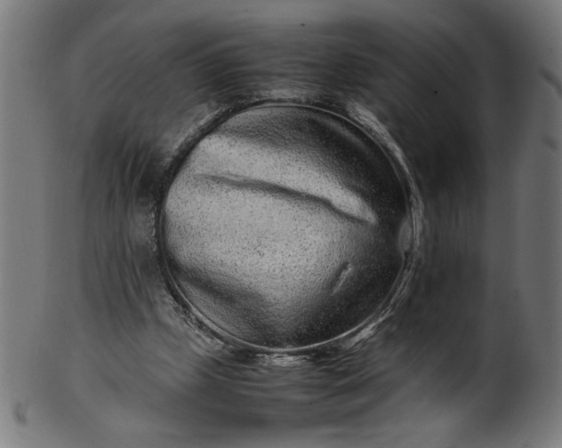 X0000099940249200806061525