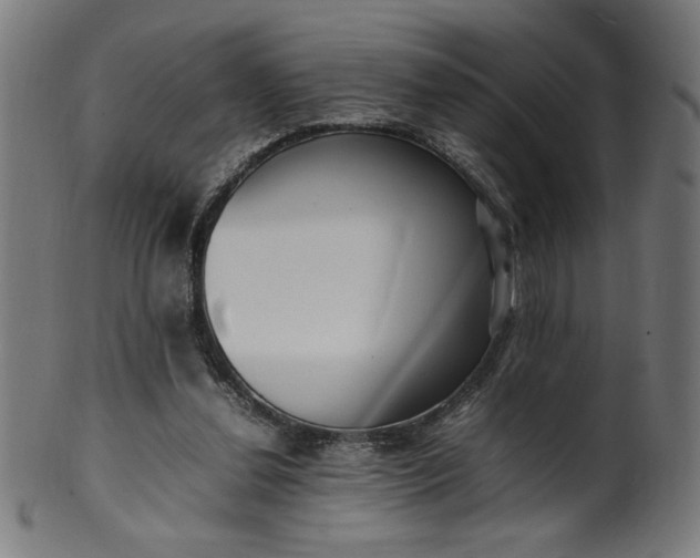 X0000099940252200806061525