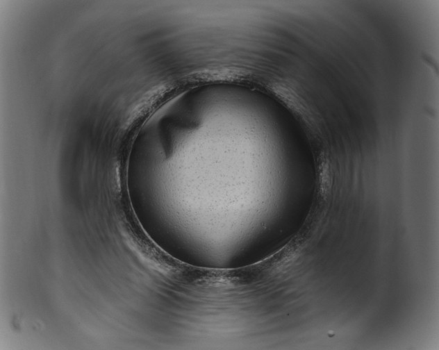 X0000099940254200806061525