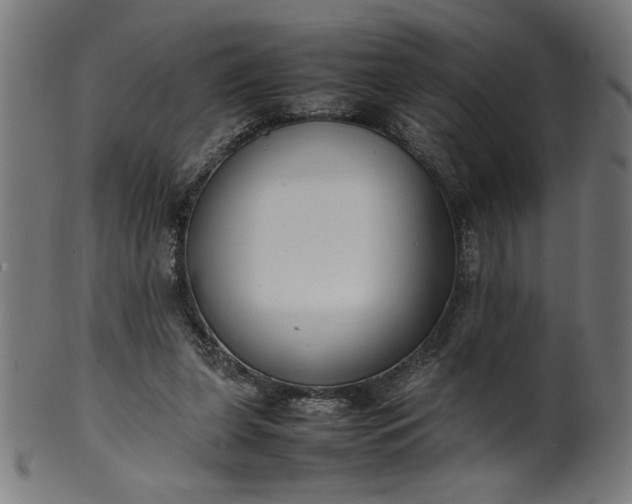 X0000099940255200806061525