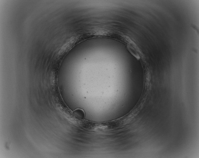 X0000099940257200806061525