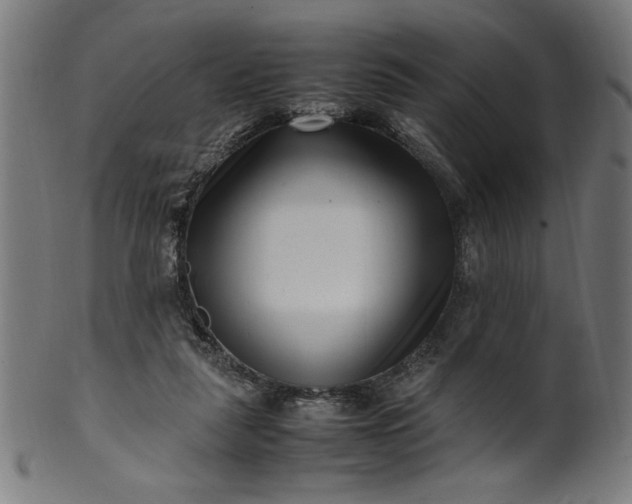 X0000099940259200806061525