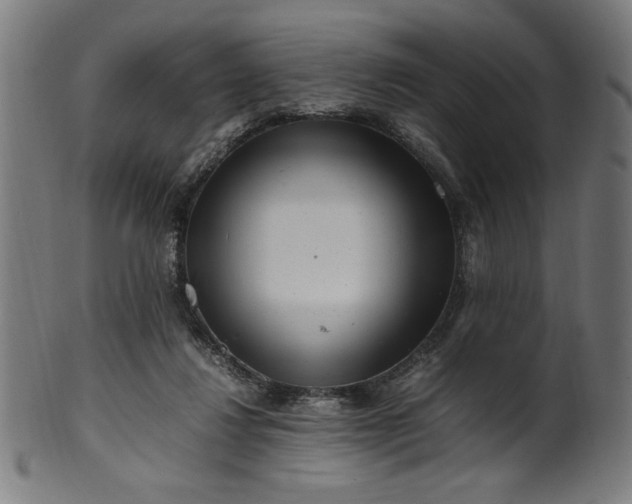 X0000099940260200806061525
