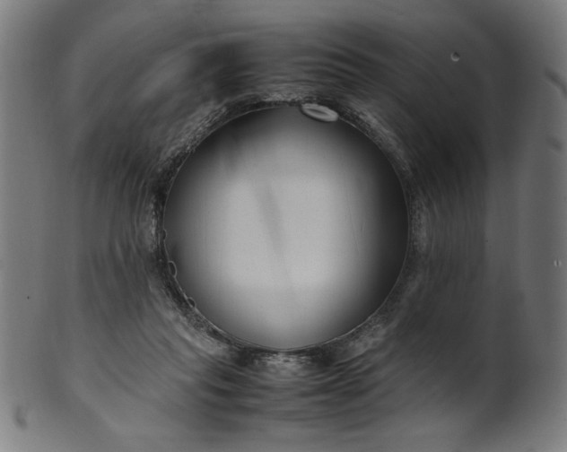 X0000099940261200806061525