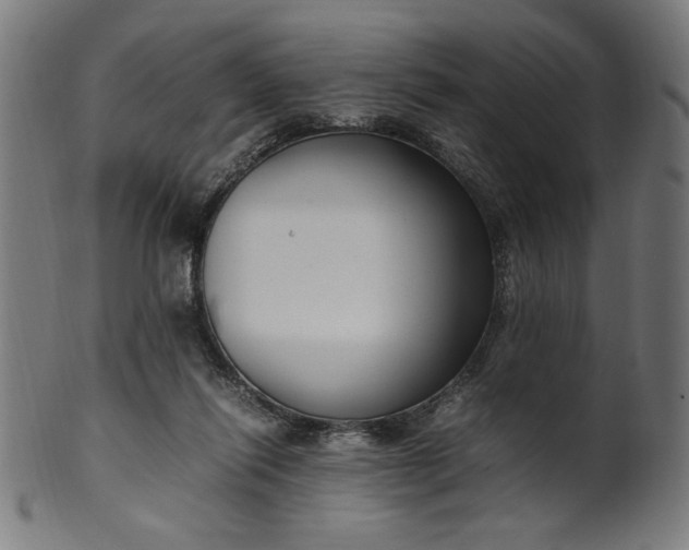 X0000099940262200806061525
