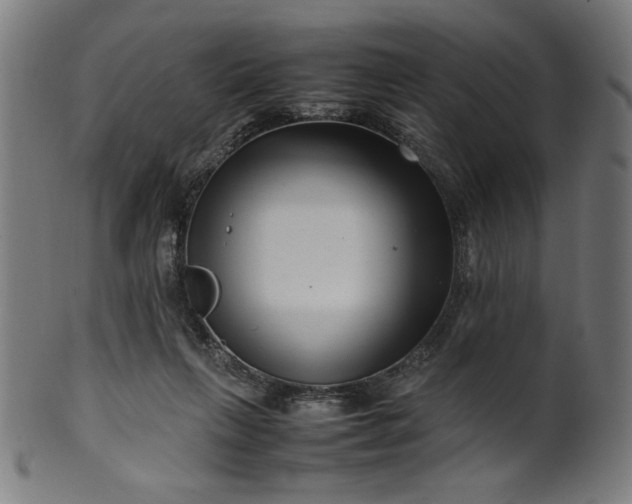 X0000099940263200806061525