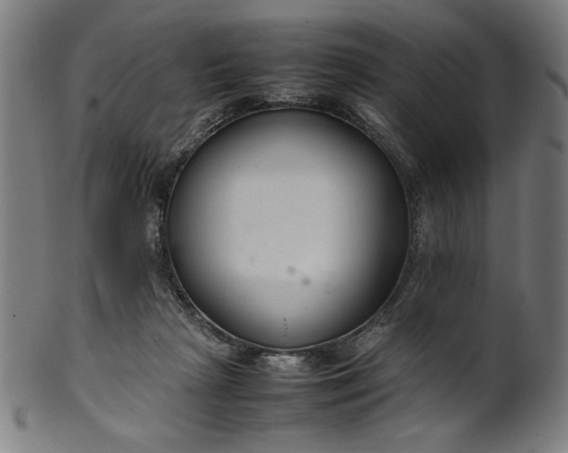 X0000099940265200806061525