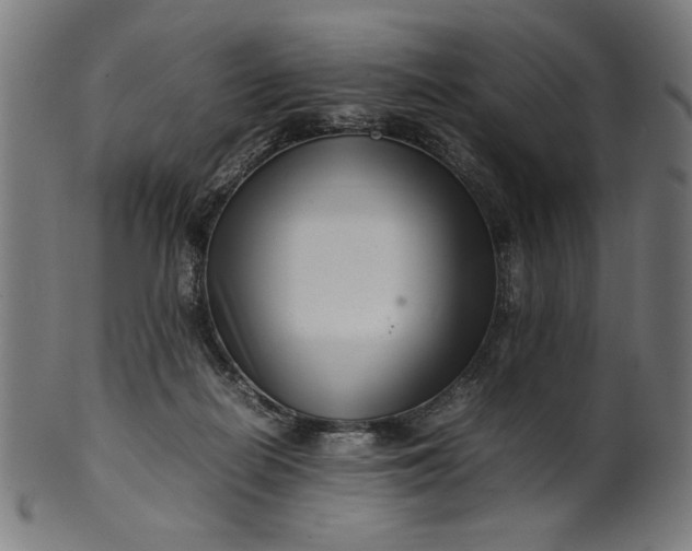 X0000099940266200806061525
