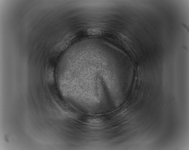 X0000099940267200806061525