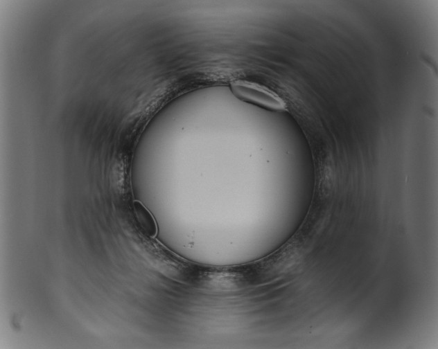 X0000099940268200806061525