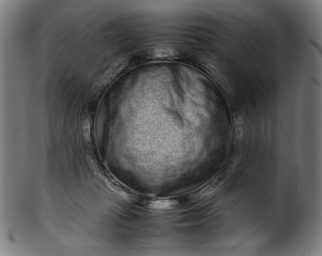 X0000099940269200806061525