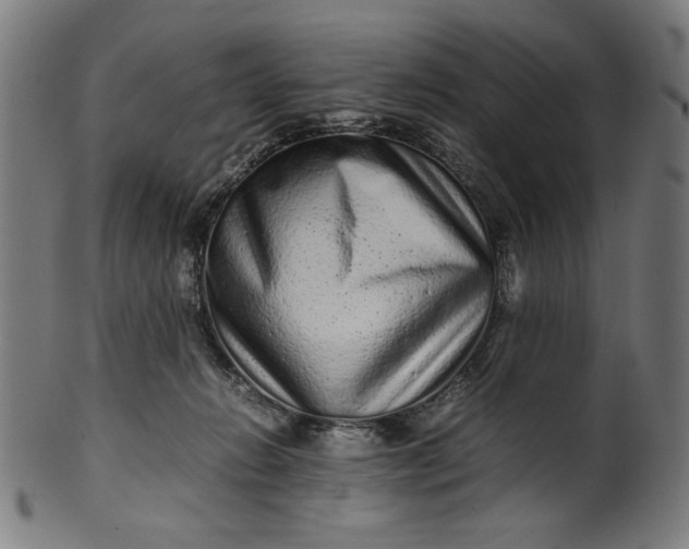 X0000099940270200806061525