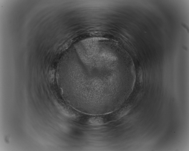 X0000099940271200806061525