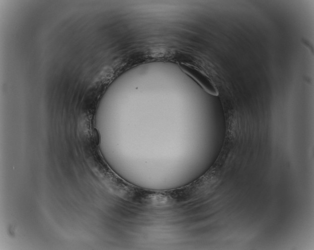X0000099940272200806061525