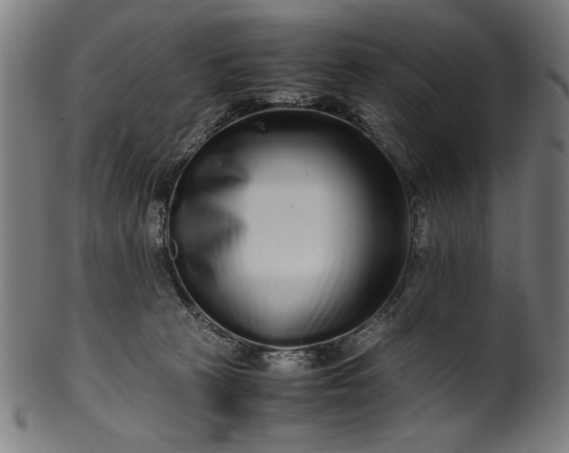 X0000099940273200806061525