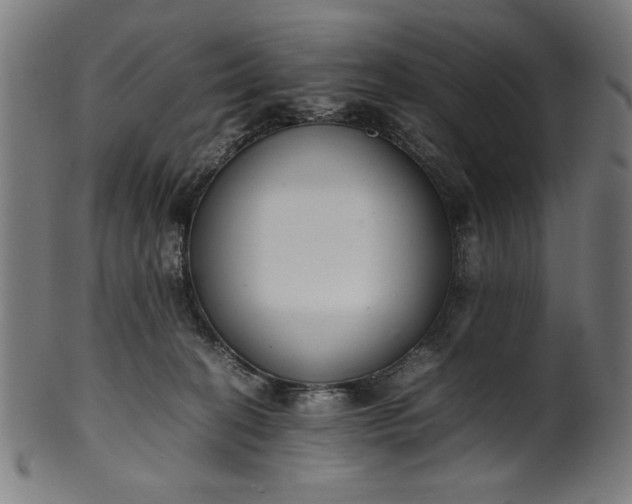 X0000099940274200806061525