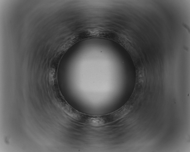 X0000099940275200806061525
