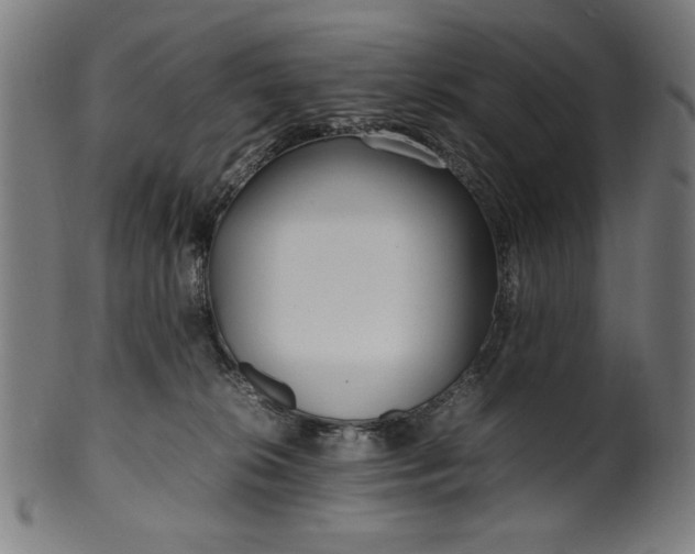 X0000099940276200806061525